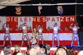 Leinespatzen   127